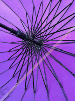 (Purple) ২৪ শিকের প্রিমিয়াম ছাতা - Image 5