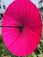 (light Maroon/ Rose) ২৪ শিকের প্রিমিয়াম ছাতা - Image 4